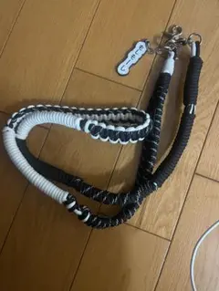 A SCENE 加賀美健