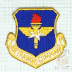 米軍実物未使用品 アメリカ空軍 航空訓練軍団 フルカラー パッチ（ワッペン）