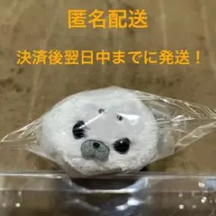 【9/30まで】ごましおちゃん　ほわほわ アザラシちゃん ぬいぐるみ MC