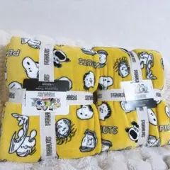 Item thumbnail for item 0449b131-860b-4483-a5e4-617caae7189e