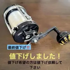 アンバサダー 4500cs アブガルシア アベイル カスタム グリーン 波リム