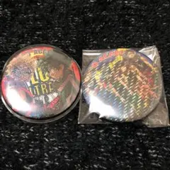 ヒロアカ 原作缶バッジ 2個セット