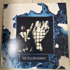 2026年最新】the yellow monkey complete sicksの人気アイテム - メルカリ