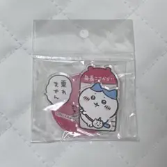 ルクセンブルクパビリオン 公式ピンバッチ - メルカリ