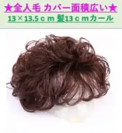 Item thumbnail for item e87e9cd0-1288-42b9-95a7-b731279b5a4e