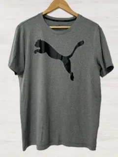 PUMA Tシャツ　Lサイズ