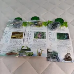 KAIYODO BIRDTALES-2 森と清流