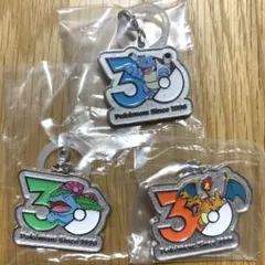 ポケモン　30周年　メタルチャームマスコット　ガチャ
