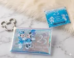 ディズニーシー 25周年 シーズニングスーベニア ケース付き