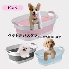 Item thumbnail for item 7b06568a-3ac3-4f33-99bd-c07af4ff48c7