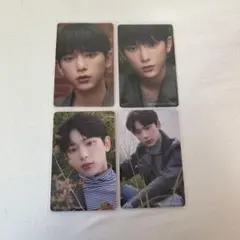 &TEAM HARUA ハルア 4枚セット