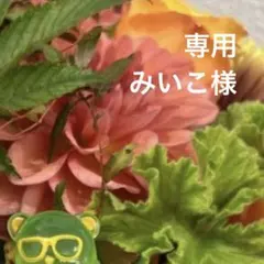 専用ページ みいこ様