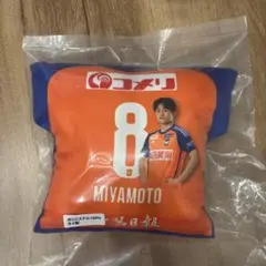 MIYAMOTO選手 8番 ミニクッション2024 アルビ　ファジアーノ岡山