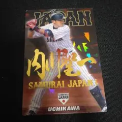 2025年最新】内川聖一 サインの人気アイテム - メルカリ