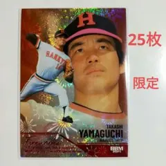 Item thumbnail for item 54c8a95b-6c02-49bd-80a3-426bbacfc487