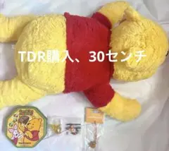 TDR タグ付き プーさん ぬいぐるみ 鈴 リング ピグレット 入れ物 セット