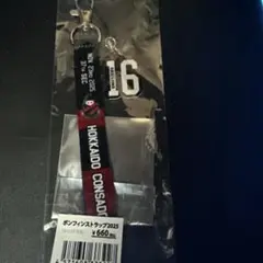 北海道コンサドーレ札幌 ボンフィン 16 長谷川竜也