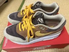 Nike Air Max 1 Duck Pack