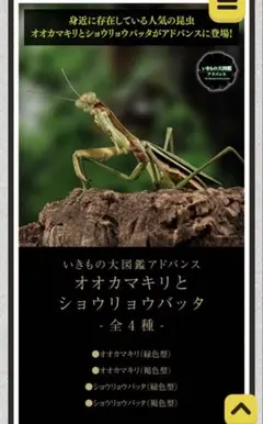 Item thumbnail for item 09db4b2a-f273-4a82-9a4f-55f3a9832abe