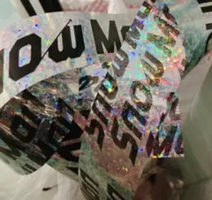 Item thumbnail for item f85c2e00-5794-496b-9f35-e2ca1e4ef4ba