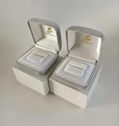 Item thumbnail for item ae2eaf05-90c7-4bed-a9c3-41f031ab715e