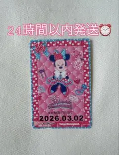 ミニーの日　リゾラ　フリーきっぷ　期限切れ
