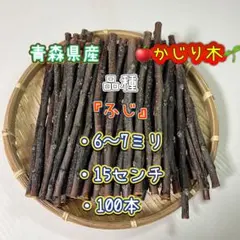 Item thumbnail for item 2498564a-bd01-4ac3-b9d9-61166c25702a