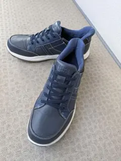 Item thumbnail for item a0d1022c-7dd6-454e-a0d5-a09dd9c5796f