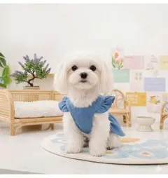 Best Baby デニムブルー犬服 サロペット