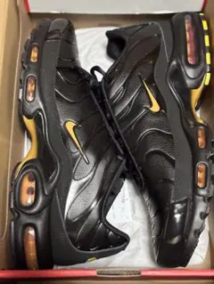 29cm ナイキ エアマックスプラス 