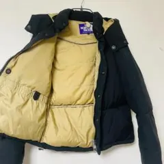 THE NORTH FACE パープルレーベル ダウン WS 光電子