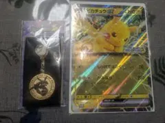 JR東日本　スタンプラリー　ポケモン　ピカチュウジャンボカード　レックウザ