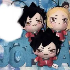 ハイキュー!! ぬいぐるみ 音駒高校 黒尾鉄朗 孤爪研磨