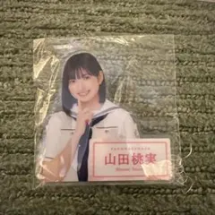 ぴこ75様 リクエスト 2点 まとめ商品