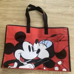 DISNEY ディズニーストア ラッキーバッグ袋のみ 福袋