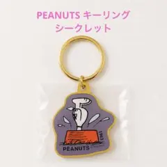 PEANUTS スヌーピー シークレットフレームキーリングのサムネイル