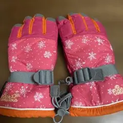 PURE CONSCIOUS スキー手袋