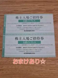 2枚の値段です！南知多ビーチランド　リトルワールド　入場券 株主優待券　名鉄