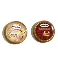 Haagen-Dazs(ハーゲンダッツ) 缶バッジ　2個セット