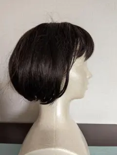 Item thumbnail for item a4fb96c3-d900-4215-ae58-5f4ffd0b521b