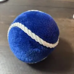 Item thumbnail for item 2832a129-bc68-4df0-ac57-c5584e9924d5