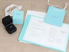 Item thumbnail for item b04be73d-63e5-4f65-8405-c60880ddbae8