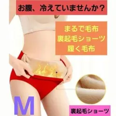 まるで毛布ショーツ 2枚セット 裏起毛 パンツ  温活 抗菌 腸活 ハイウエスト