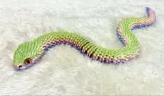 3Dプリント 関節可動式 グラデーション ヘビ型フィギュア⑥のサムネイル