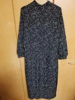 Item thumbnail for item d90de4dc-9414-4744-a2d8-f12c9c34c027