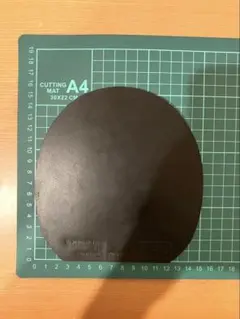 Item thumbnail for item 683571c0-8ff8-46c0-8560-a321f15ac799