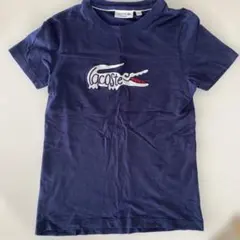 LACOSTE ネイビー ロゴ刺繍 Tシャツ US-XS