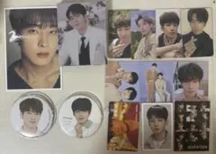 seventeen セブチ ウォヌ セット