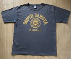 チャンピオン Tシャツ T1011 L USA製　グレー