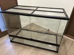 2025年最新】グラステラリウム9060の人気アイテム - メルカリ